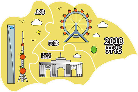 极橙2018年发展